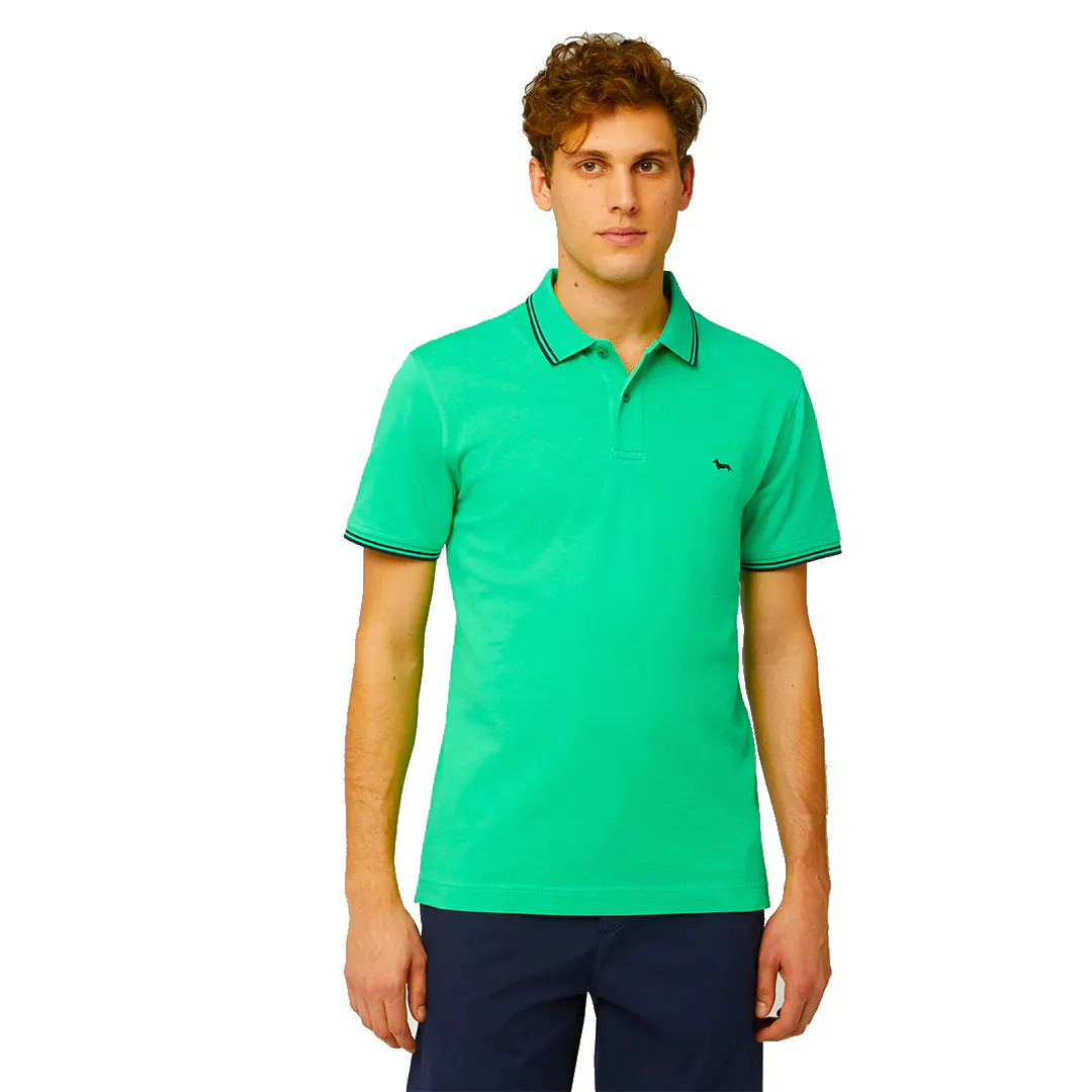Polo - immagine 3