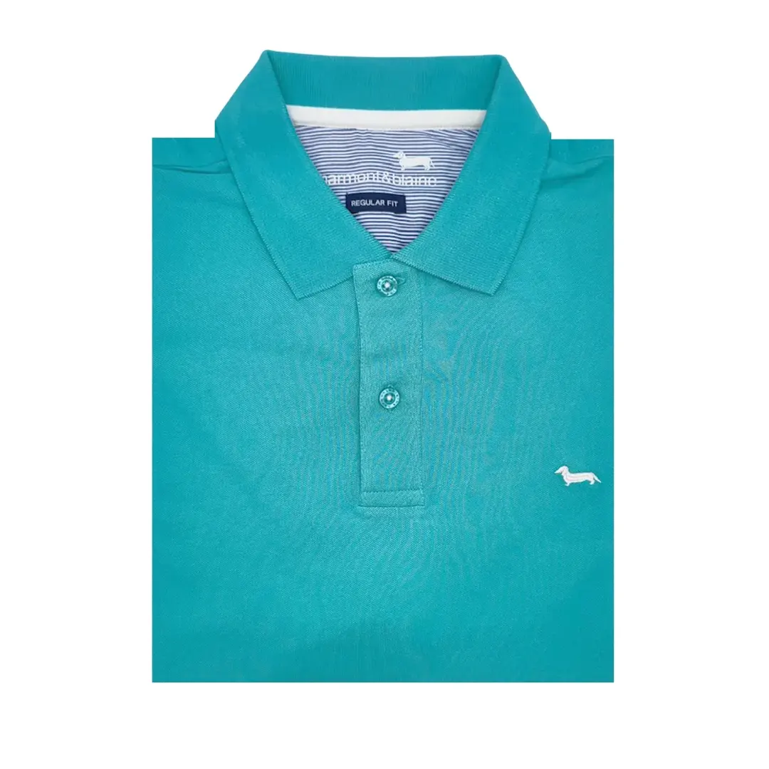 Polo - immagine 2