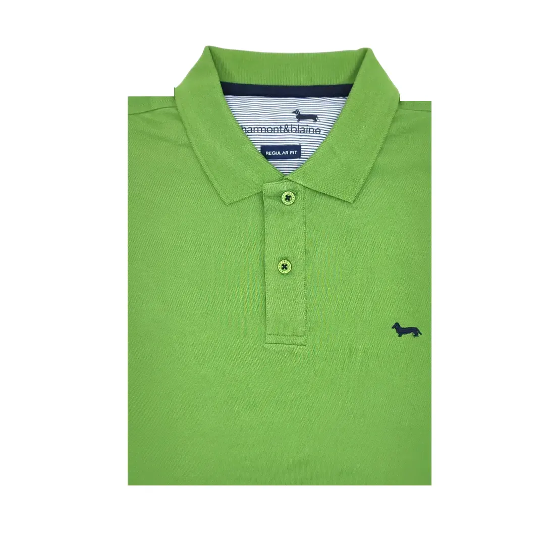 Polo - immagine 5