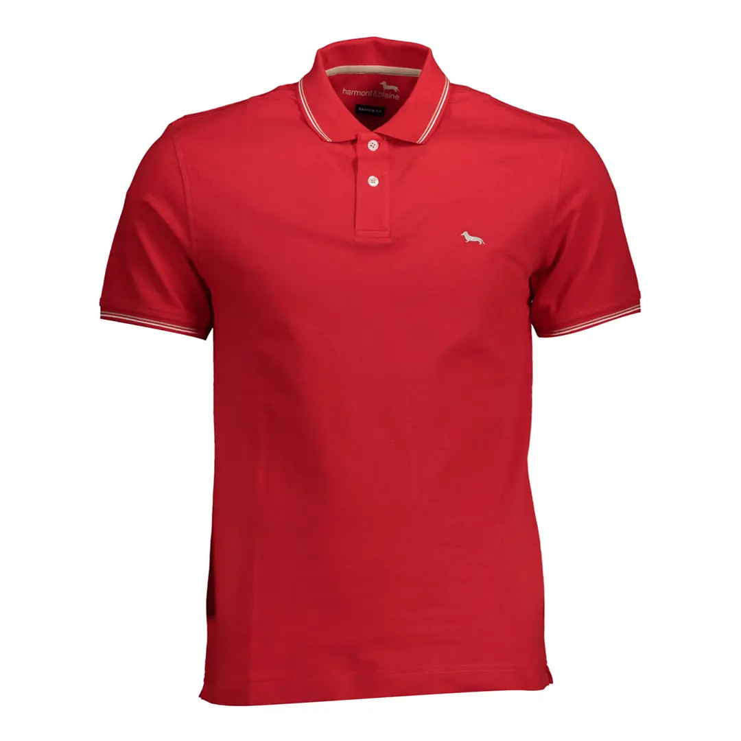 Polo - immagine 6